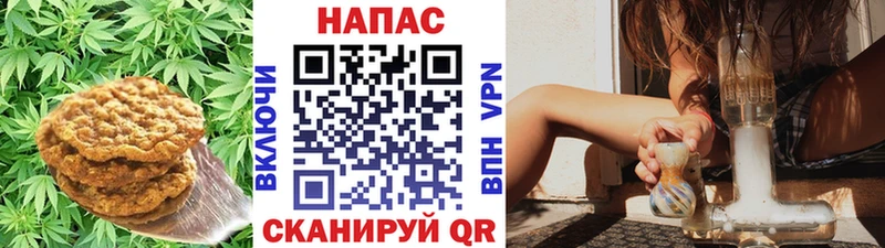 закладки  Нижний Новгород  Еда ТГК марихуана 
