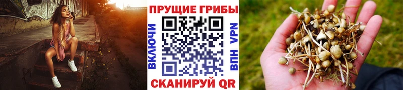 Галлюциногенные грибы MAGIC MUSHROOMS  Нижний Новгород 