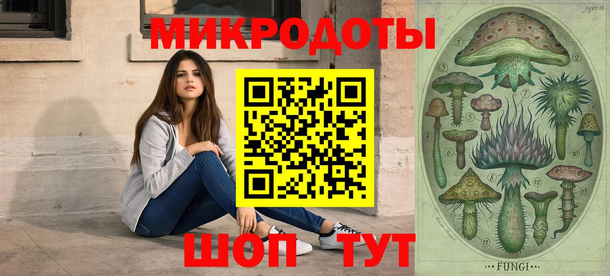 Нижний Новгород  Галлюциногенные грибы Cubensis  Вход с VPN 